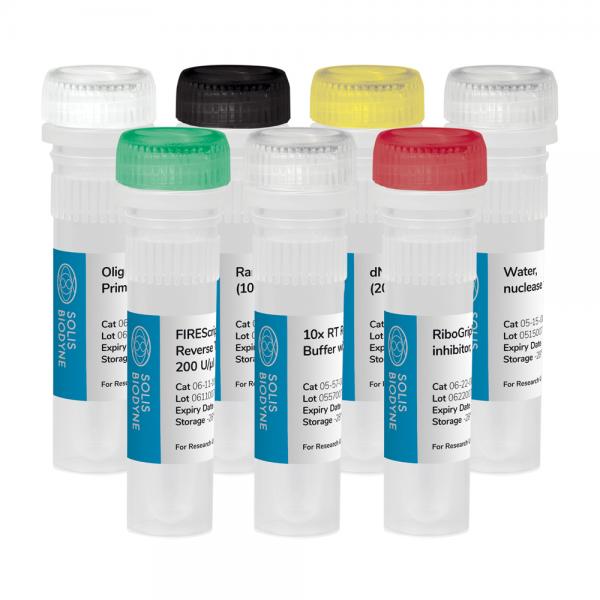 FIREScript RT cDNA synthesis KIT