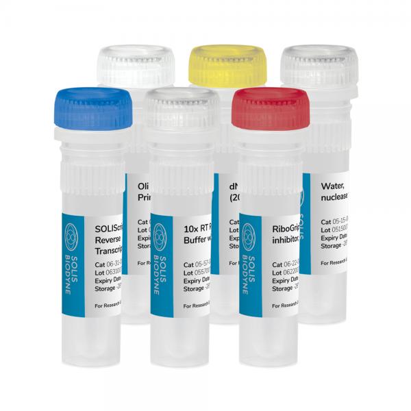 SOLIScript RT cDNA synthesis KIT